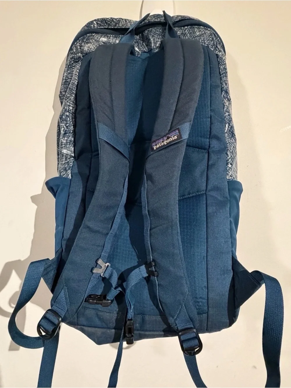 Patagonia Blue Patterned Everyday Backpack